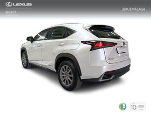 Lexus NX 2.5 300h Business Navigation 2WD  - Foto 3