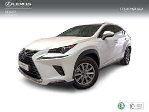 Lexus NX 2.5 300h Business Navigation 2WD  - Foto 2