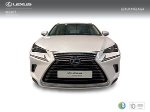 Lexus NX 2.5 300h Business Navigation 2WD  - Foto 6