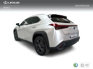 Lexus UX 2.0 300h UX Plus  - Foto 3