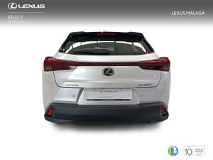 Lexus UX 2.0 300h UX Plus  - Foto 5