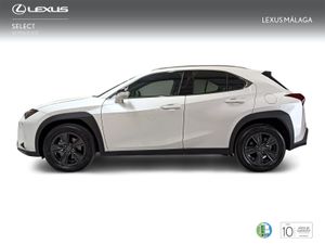 Lexus UX 2.0 300h UX Plus  - Foto 4