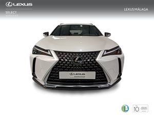 Lexus UX 2.0 300h UX Plus  - Foto 6