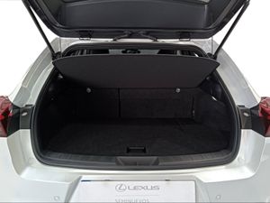 Lexus UX 2.0 300h UX Plus  - Foto 10