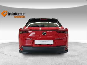 Lexus UX 2.0 300h UX Plus  - Foto 5
