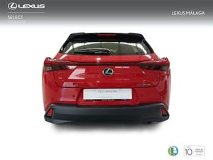 Lexus UX 2.0 300h UX Plus  - Foto 5