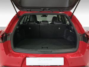 Lexus UX 2.0 300h UX Plus  - Foto 10