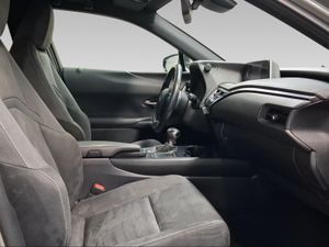 Lexus UX 2.0 250h Business  - Foto 7