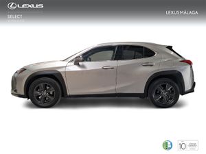 Lexus UX 2.0 250h Business  - Foto 4