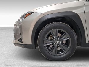 Lexus UX 2.0 250h Business  - Foto 11