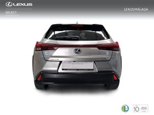 Lexus UX 2.0 250h Business  - Foto 5