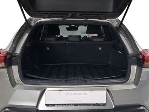 Lexus UX 2.0 250h Business  - Foto 10