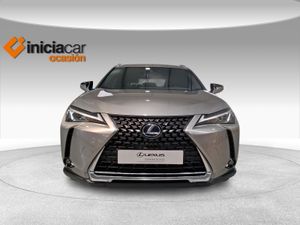 Lexus UX 2.0 250h Business  - Foto 6