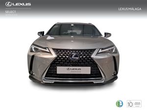 Lexus UX 2.0 250h Business  - Foto 6