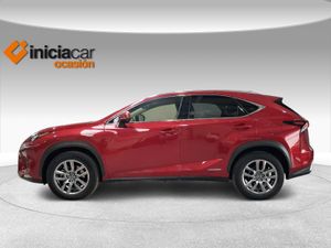 Lexus NX 2.5 300h Executive Navigation 4WD  - Foto 4