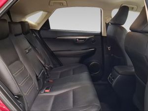 Lexus NX 2.5 300h Executive Navigation 4WD  - Foto 8
