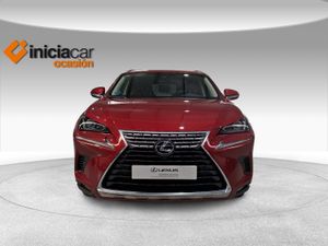 Lexus NX 2.5 300h Executive Navigation 4WD  - Foto 6