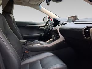 Lexus NX 2.5 300h Executive Navigation 4WD  - Foto 7
