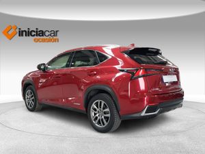 Lexus NX 2.5 300h Executive Navigation 4WD  - Foto 3