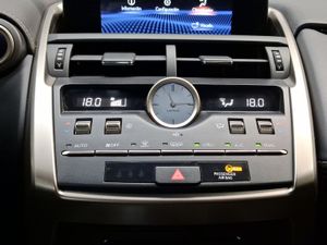 Lexus NX 2.5 300h Business 2WD  - Foto 15
