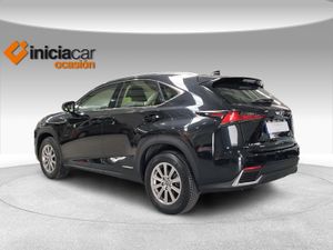 Lexus NX 2.5 300h Business 2WD  - Foto 3