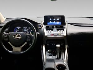 Lexus NX 2.5 300h Business 2WD  - Foto 9
