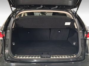 Lexus NX 2.5 300h Business 2WD  - Foto 10