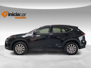 Lexus NX 2.5 300h Business 2WD  - Foto 4