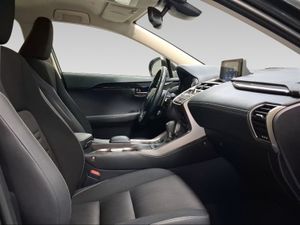 Lexus NX 2.5 300h Business 2WD  - Foto 7
