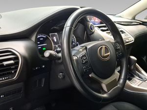 Lexus NX 2.5 300h Business 2WD  - Foto 16