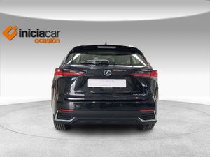 Lexus NX 2.5 300h Business 2WD  - Foto 5