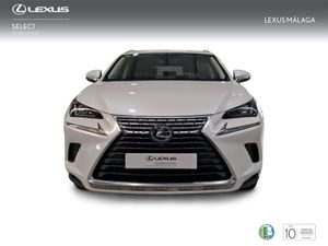 Lexus NX 2.5 300h Executive Navigation 4WD  - Foto 6