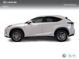 Lexus NX 2.5 300h Executive Navigation 4WD  - Foto 4
