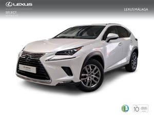 Lexus NX 2.5 300h Executive Navigation 4WD  - Foto 2