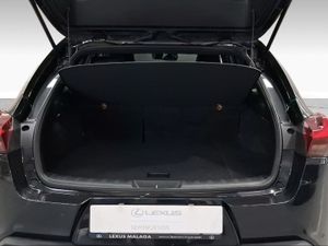 Lexus UX 2.0 250h Business  - Foto 10