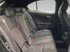 Lexus UX 2.0 250h Business  - Foto 8