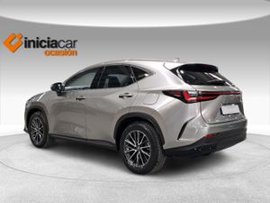 Lexus NX 450h+ Executive 4WD  - Foto 3