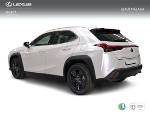 Lexus UX 2.0 300h UX Plus  - Foto 3