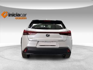 Lexus UX 2.0 300h UX Plus  - Foto 5