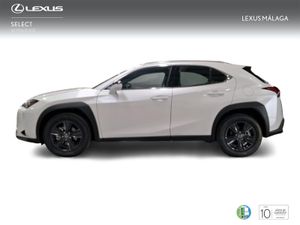 Lexus UX 2.0 300h UX Plus  - Foto 4