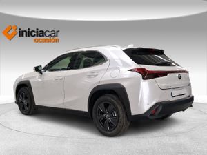 Lexus UX 2.0 300h UX Plus  - Foto 3