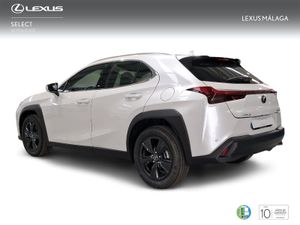 Lexus UX 2.0 300h UX Plus  - Foto 3