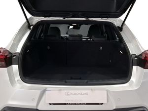 Lexus UX 2.0 300h UX Plus  - Foto 10