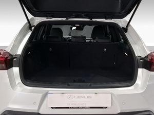Lexus UX 2.0 300h UX Plus  - Foto 10