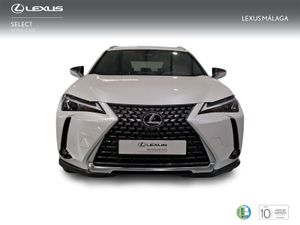 Lexus UX 2.0 300h UX Plus  - Foto 6