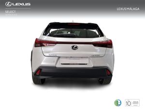 Lexus UX 2.0 300h UX Plus  - Foto 5