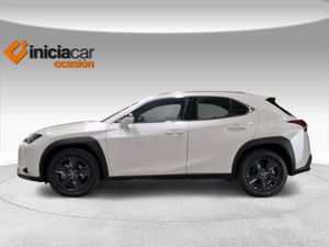 Lexus UX 2.0 300h UX Plus  - Foto 4