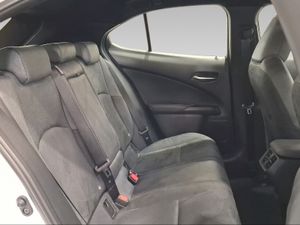 Lexus UX 2.0 300h UX Plus  - Foto 8