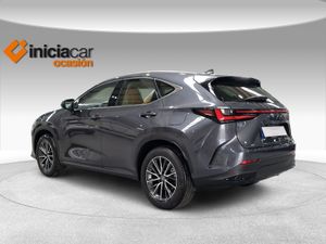 Lexus NX 350h Premium+ 2WD  - Foto 3