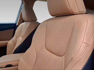 Lexus NX 350h Premium+ 2WD  - Foto 17